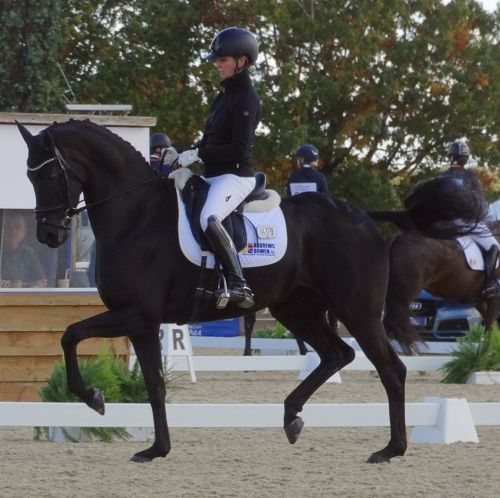 Fantasia and Eva Moller, by permission of Star Seeker Dressage